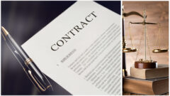 Commercial Contracts_MDB