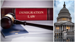 Immigration Law and Policy Under the Trump_MDB