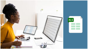 Microsoft Excel for Lawyers (2024 Edition)