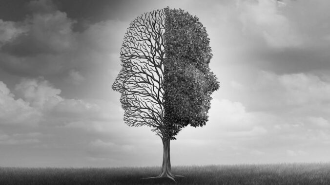 The Best Use of Forensic Psychiatrists and Forensic Neuropsychologists in Probate Litigation: Addressing Questions of Testamentary Capacity, Contractual Capacity, and Undue Influence